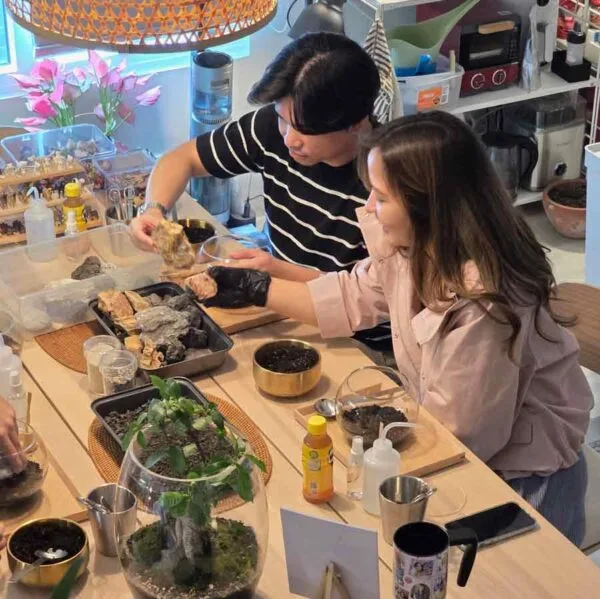 Miniature Landscape Terrarium Workshop - Image 3