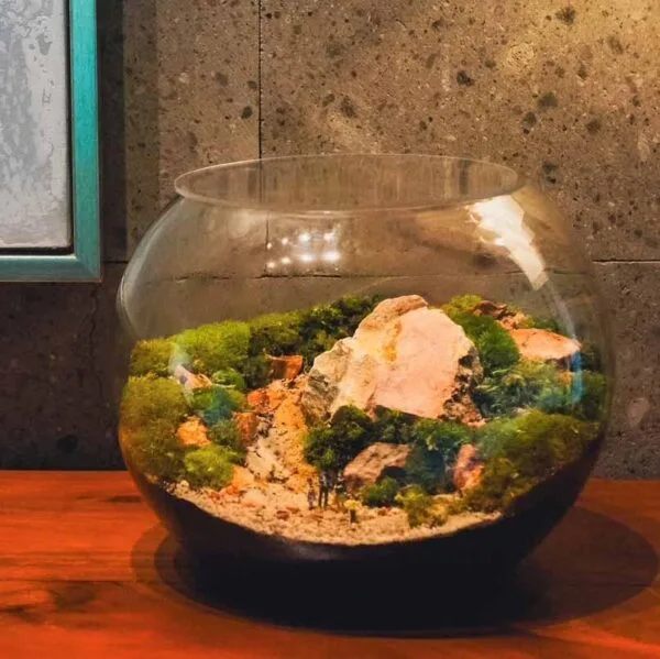 Miniature Landscape Terrarium Workshop