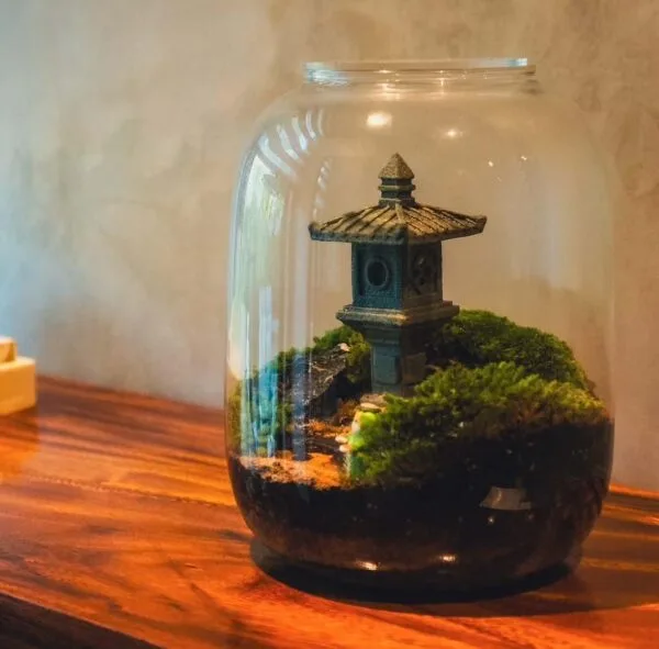 Miniature Landscape Terrarium Workshop - Image 2